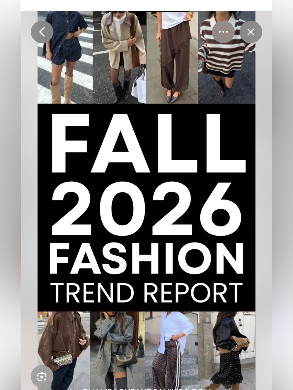 Curated L. Pishkin Designs New Trends